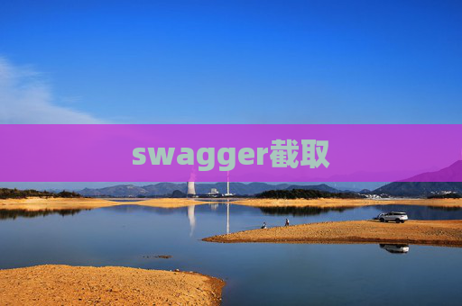 swagger截取